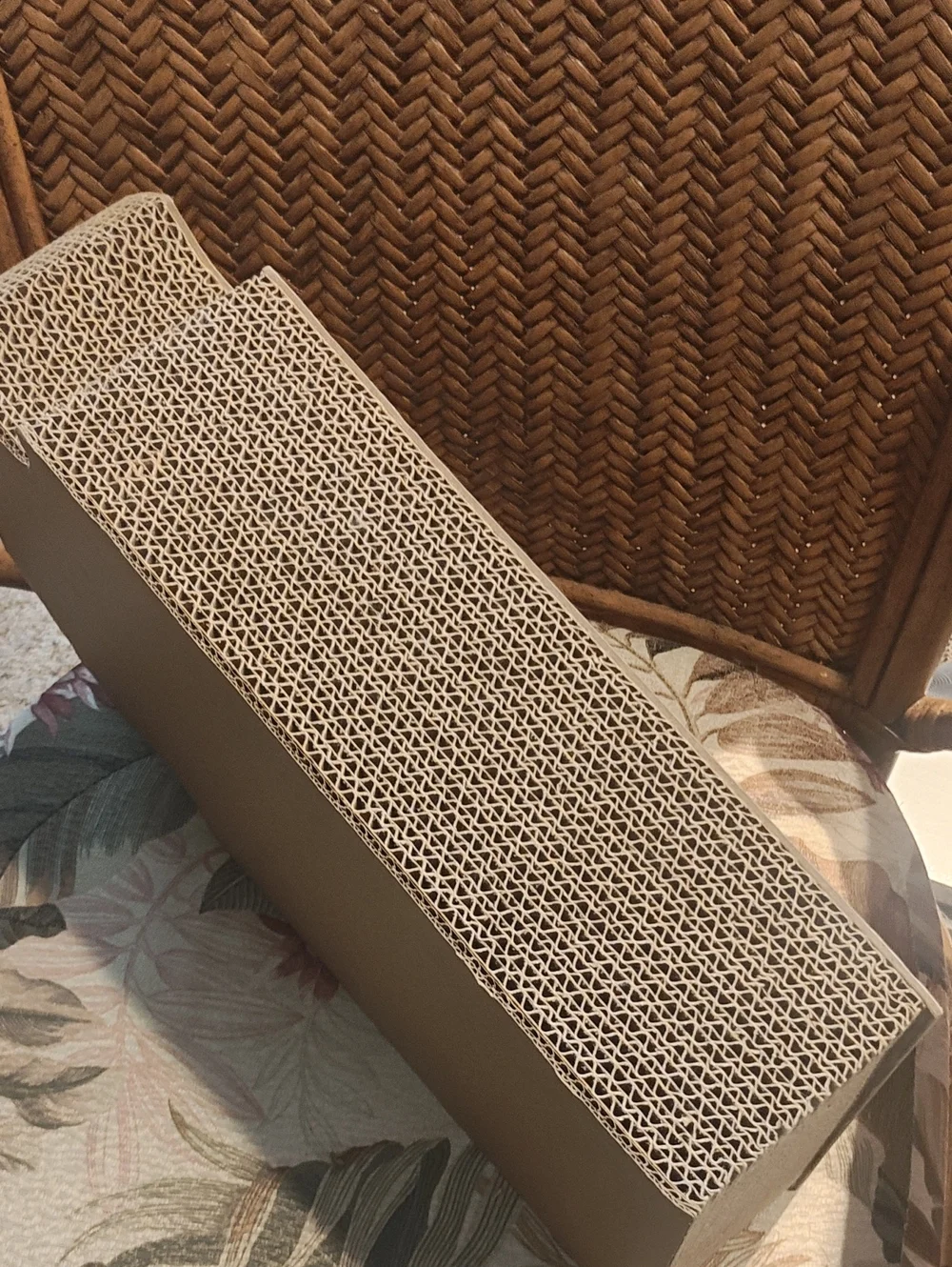 PETS: CAT SCRATCHER TOY: RIP HALLOWEEN POP-UP GHOST & BALL